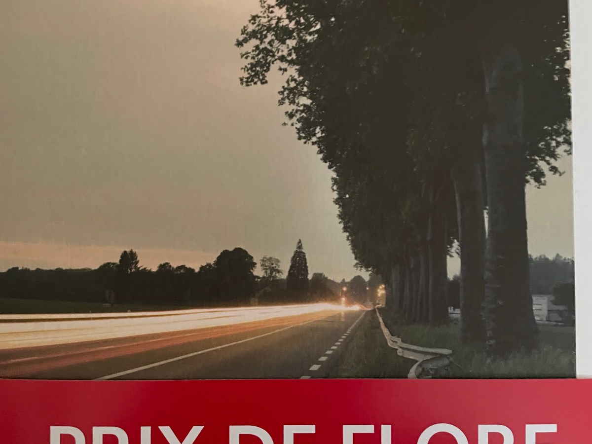 Le Voyant d’Étampes d’Abel Quentin&nbsp;: une quête des temps post-modernes